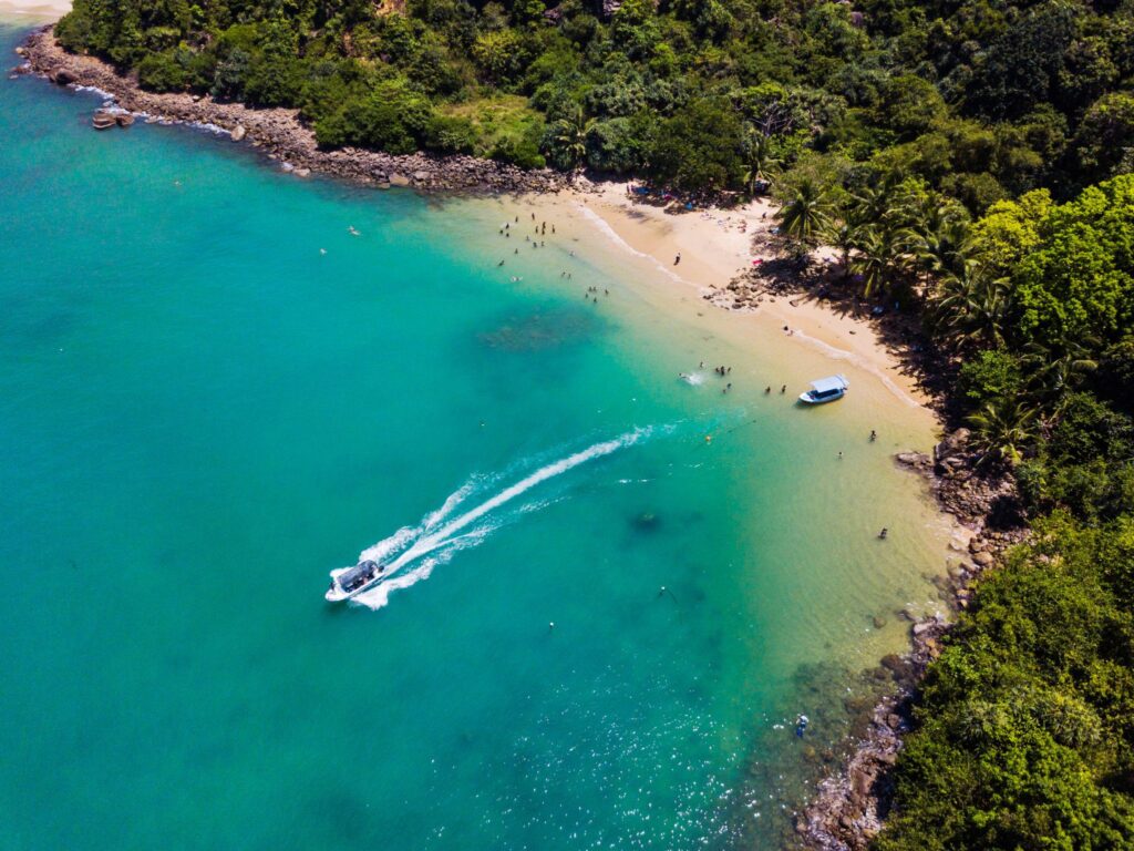 Golden tropical beach lined with palm trees along the Sri Lankan coastline